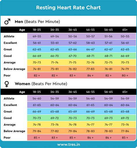 Average Heart Rate Bpm Male - Printable Templates Protal