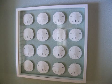 DIY Floating Sand Dollars in an IKEA Frame