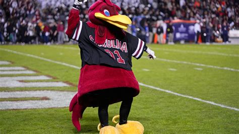 Epic Mascot Reveal At South Carolina Graduation Goes Viral