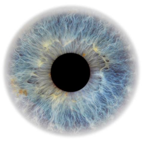 Download HD Eye Pupil Png Image Transparent - Blue Eyes Png Transparent ...