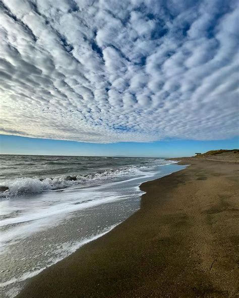 Dog Friendly Beaches in Tarquinia - BeachAtlas