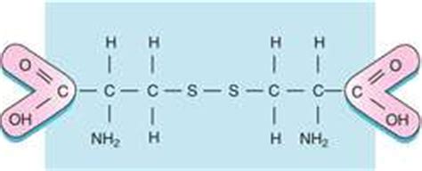 Cystine | definition of cystine by Medical dictionary