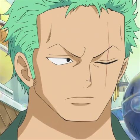 Roronoa Zoro | Five World Adventures Wiki | Fandom