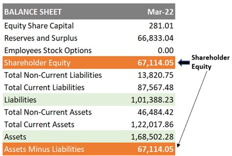 Statement Of Shareholders Equity