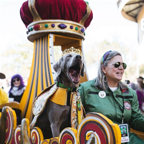 Barkus Parade 2023 — French Quarter Journal