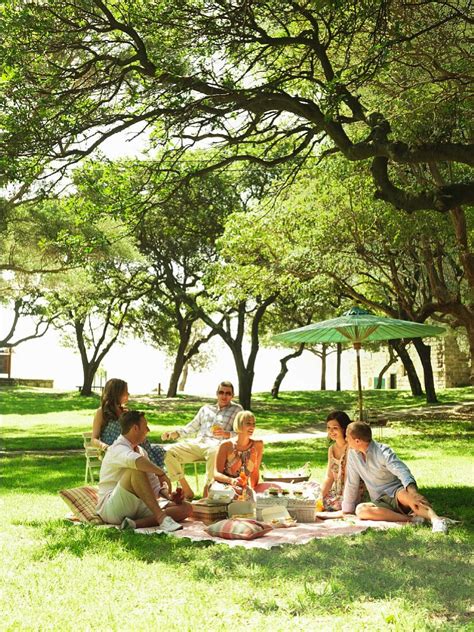 People having a picnic in a park – License image – 11037684 lookphotos