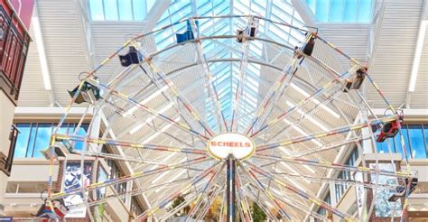 Things to Do at Chandler SCHEELS | SCHEELS.com