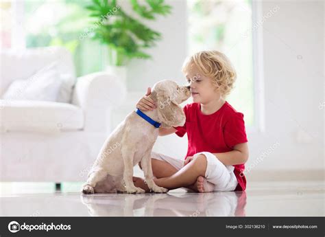 Child playing with dog. Kids play with puppy. Stock Photo by ...