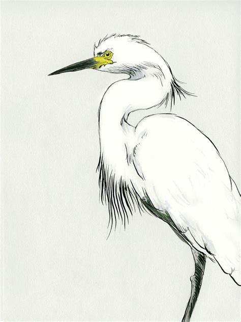 Egret paintings search result at PaintingValley.com