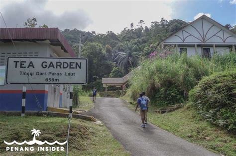 Bukit Larut (Maxwell Hill) Ultimate Guide: Discover Taiping Hill ...