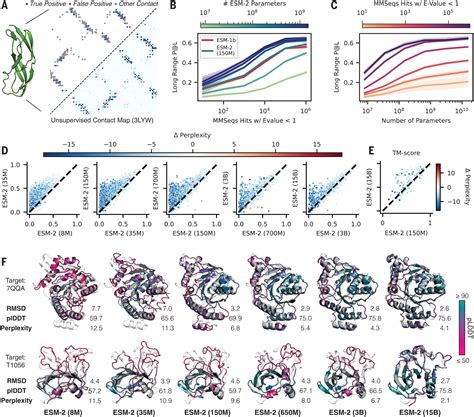 Predicting protein folding from single sequences with Meta AI ESM-2 ...