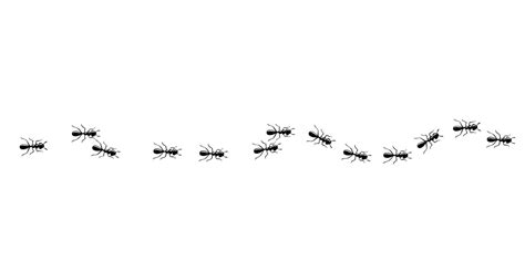 Ants trail pattern. Ant path isolated in white background. Vector ...