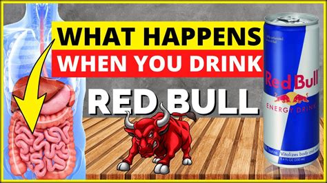 What happens when you drink Red Bull? Effects of Red Bull on the body ...