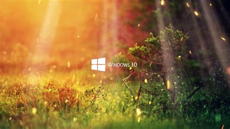 Live wallpaper windows 10 download - paseyou