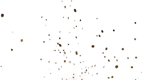 Mud Splatter Png Clipart Download - Mud Vector