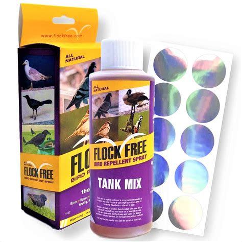 Pigeon Spray Repellent - Pest Phobia