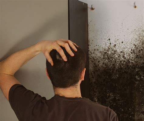 Black Mold Testing | Toxic Mold Testing Kits for Home and Office ...