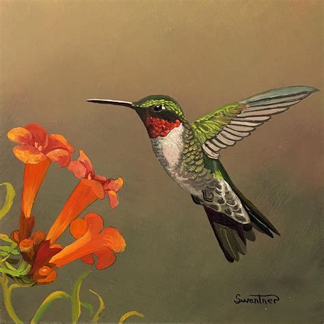 15+ Hummingbird Acrylic Painting