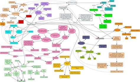 Pathophysiology Of Diabetes Type 2 Concept Map - DiabetesWalls