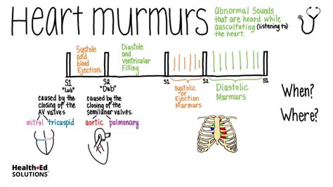 Summary Of Cardiac Murmurs