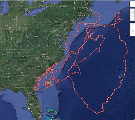 Great White Shark Tracking Map Atlantic - Maping Resources