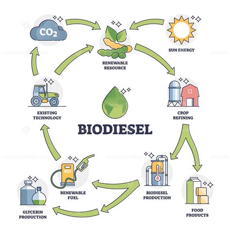 Biodiesel fuel life cycle explanation with all usage stages outline ...