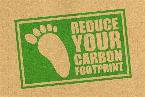 20 Practical Improvements To Reduce Your Company’s Carbon Footprint ...