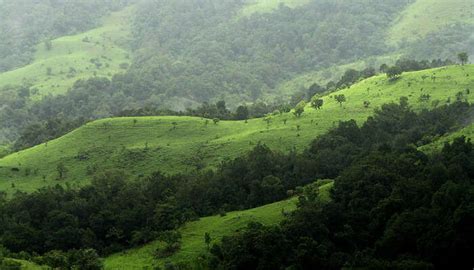 8 Best National Parks In Karnataka For Your Thrilling Vacay In 2023!