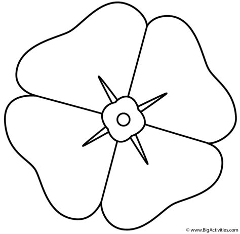 Poppy - Coloring Page (Anzac Day)