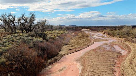 Petrified Forest · National Parks Conservation Association