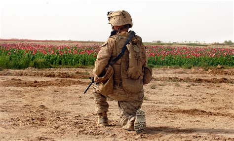 The U.S. Marines are sending a task force back to Afghanistan's Helmand ...