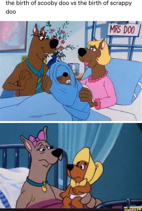 Live Action Scooby Doo Memes