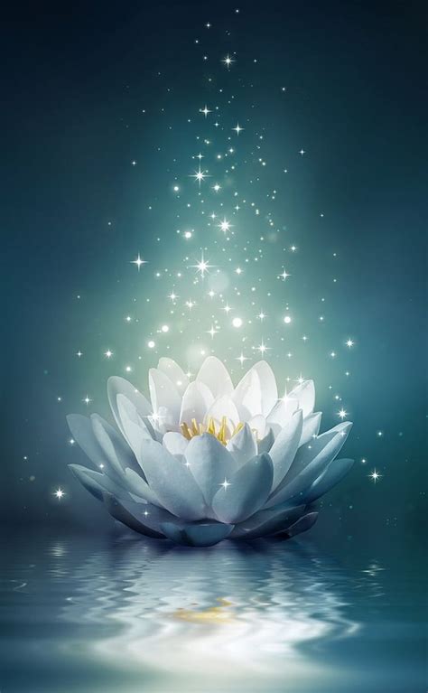 Lotus flower, Blue Lotus Buddha HD phone wallpaper | Pxfuel