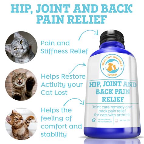 Pain Meds Safe For Cats Collection Discounts | www.ykshocam.com