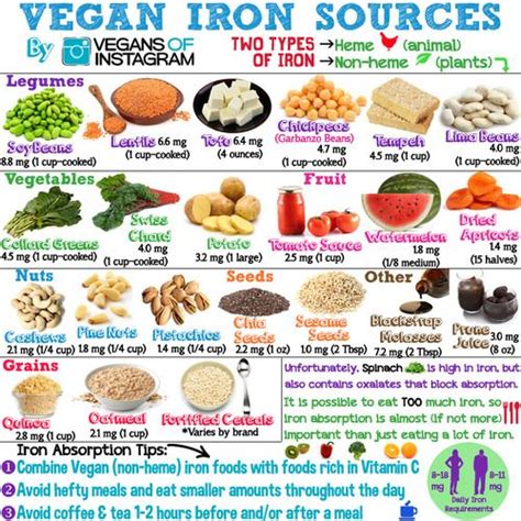 Iron Rich Foods For Anemia Vegetarians | Deporecipe.co