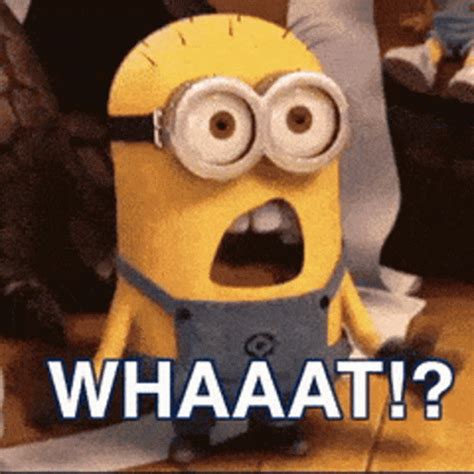 Whaat Huh GIF – Whaat Huh Minion – GIFs entdecken und teilen