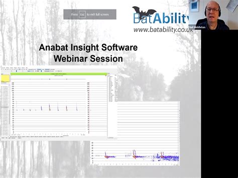 Anabat Insight Software – Level 1