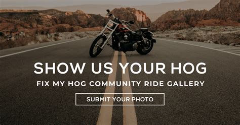 Show Us Your Hog | Fix My Hog