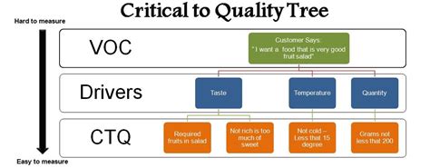 Voice of the Customer (VOC) and Critical to Quality (CTQ) Metrics