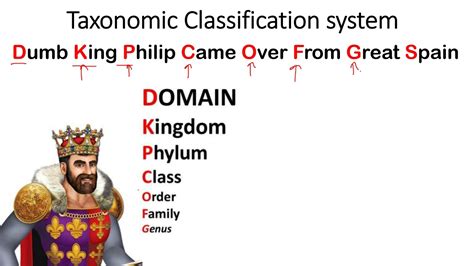 Taxonomic Classification System Mnemonics Animal Kingdom, 45% OFF