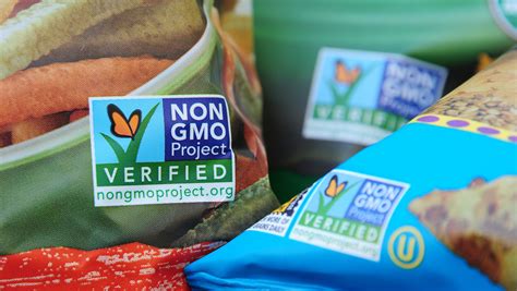 Are GMOs a concern or modern convenience? Your Say