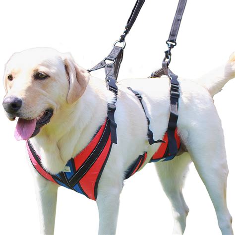 Walkin' Pets Lift-n-Step Dog Harness for Full Body Support - Red - X ...