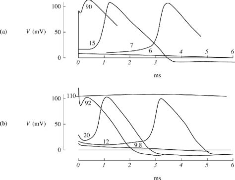 [PDF] A Primer on Mathematical Models in Biology | Semantic Scholar