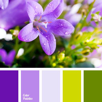 Color Palette #4050 | Color Palette Ideas