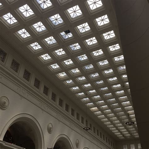 Field Museum on Twitter: "Don't forget to look up! https://t.co ...