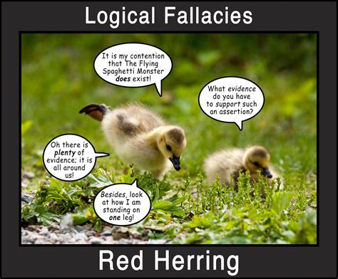 Logical Fallacies 3 - a photo on Flickriver