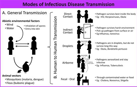 An Introduction to Infectious Disease - Science in the News