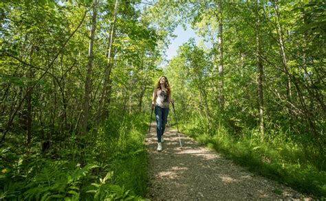 Healing in the forest: a guide to forest bathing