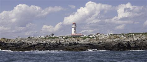 Machias Seal Island Lighthouse – Always Wonderful Memories Photography ...