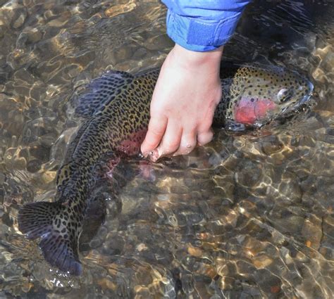 Quabbin Reservoir fishing season begins Saturday morning - masslive.com